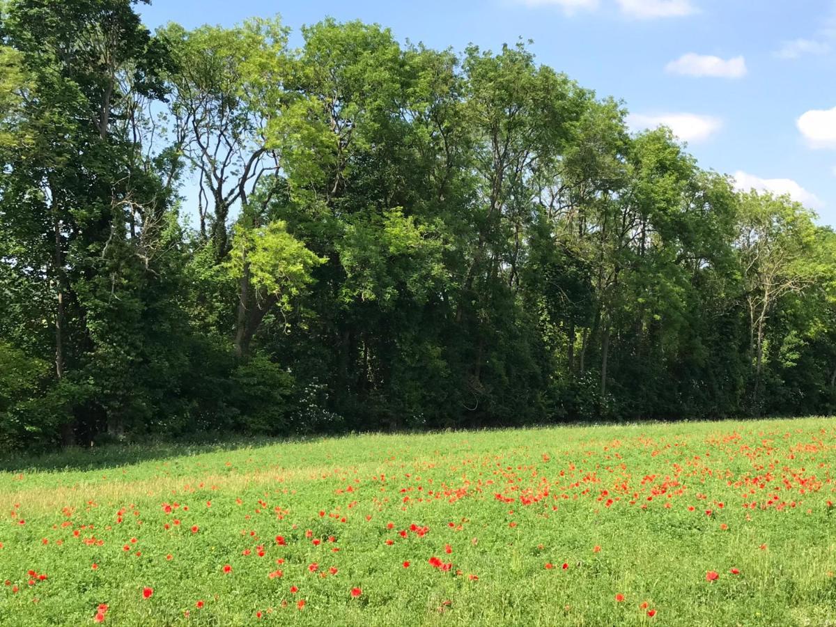 Chambre D'Hotes "Coquelicot" Nurlu Kültér fotó