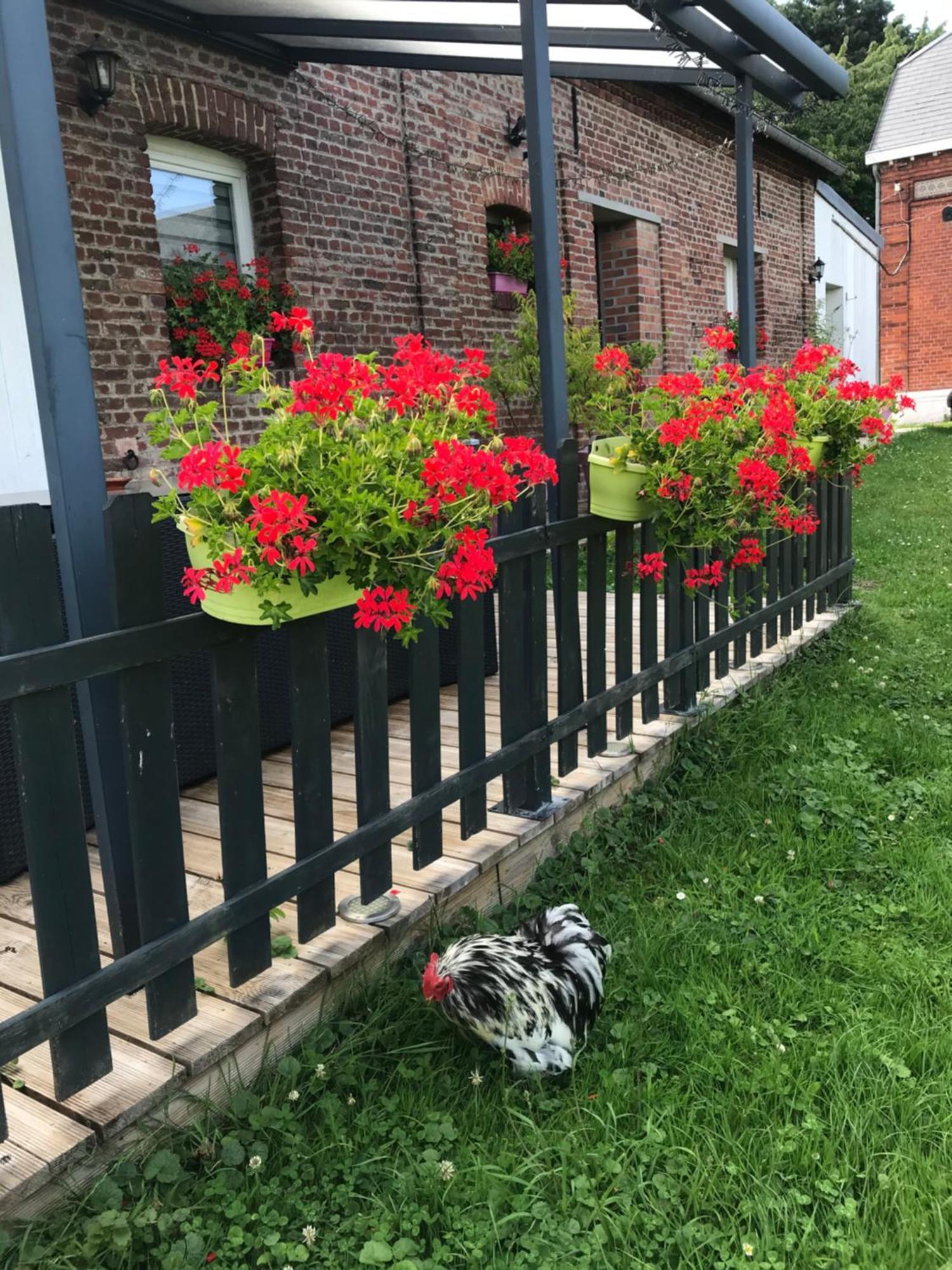 Chambre D'Hotes "Coquelicot" Nurlu Kültér fotó